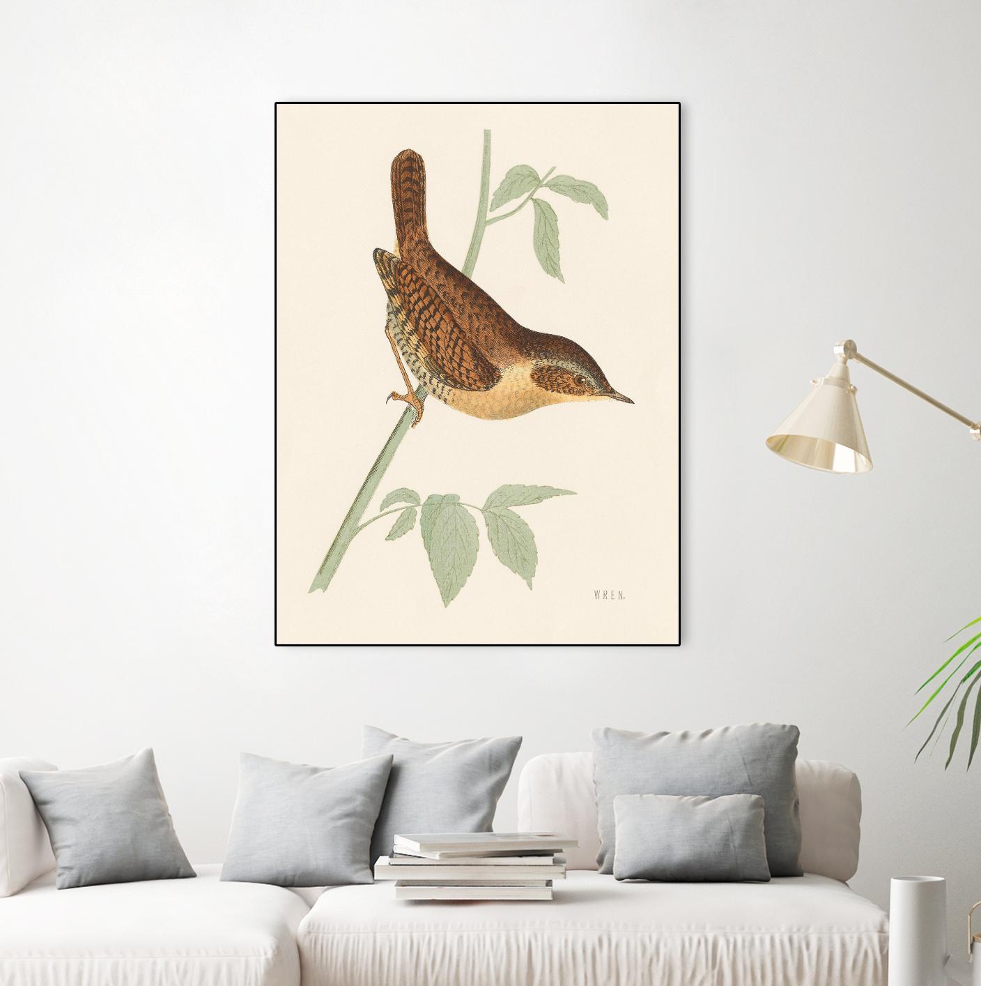 Engraved Birds I by Wild Apple Portfolio on GIANT ART - animals animal