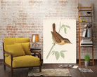 Engraved Birds I by Wild Apple Portfolio on GIANT ART - animals animal