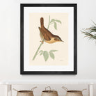 Engraved Birds I by Wild Apple Portfolio on GIANT ART - animals animal