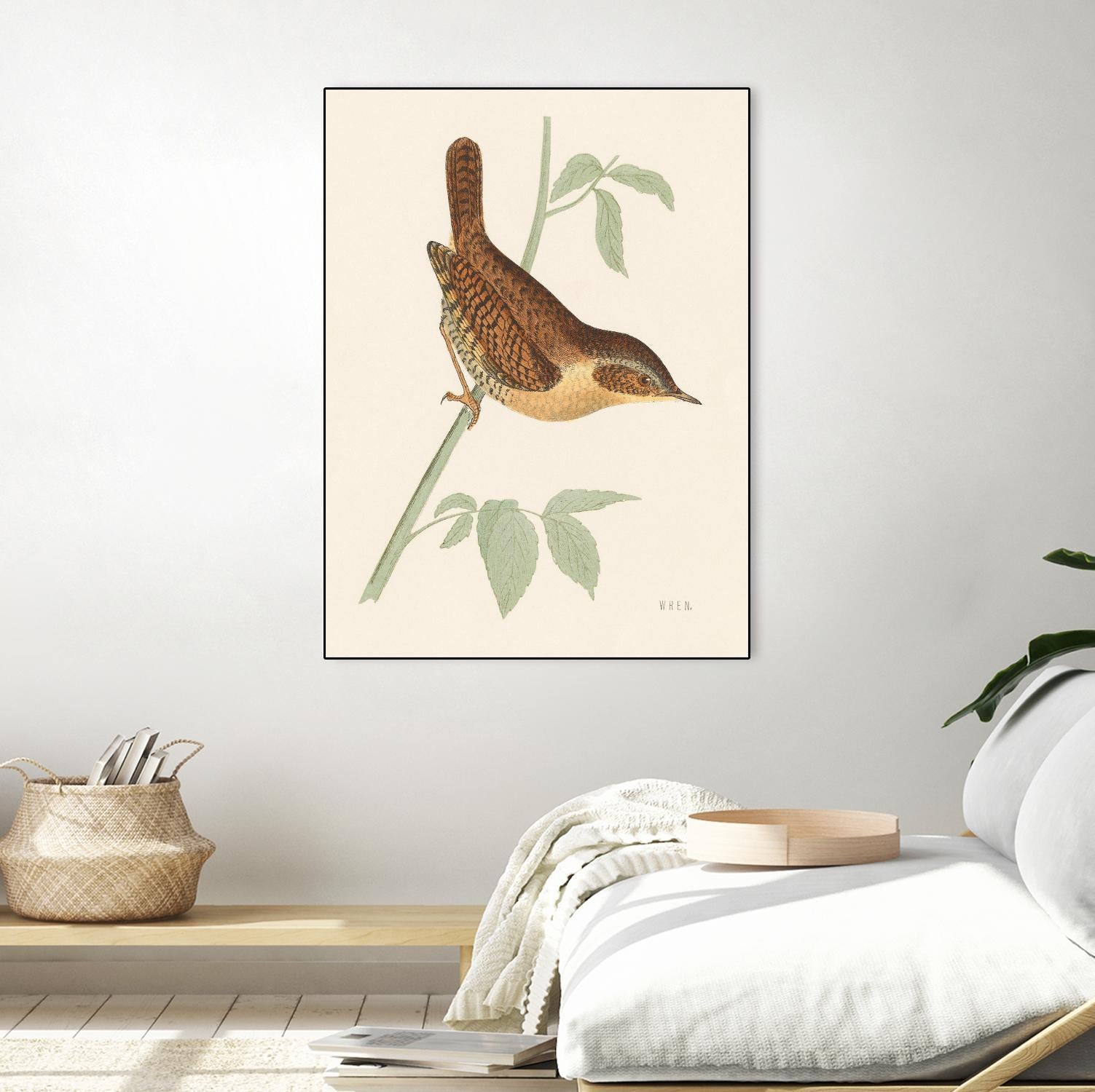 Engraved Birds I by Wild Apple Portfolio on GIANT ART - animals animal