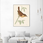 Engraved Birds I by Wild Apple Portfolio on GIANT ART - animals animal