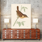 Engraved Birds I by Wild Apple Portfolio on GIANT ART - animals animal