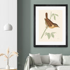 Engraved Birds I by Wild Apple Portfolio on GIANT ART - animals animal