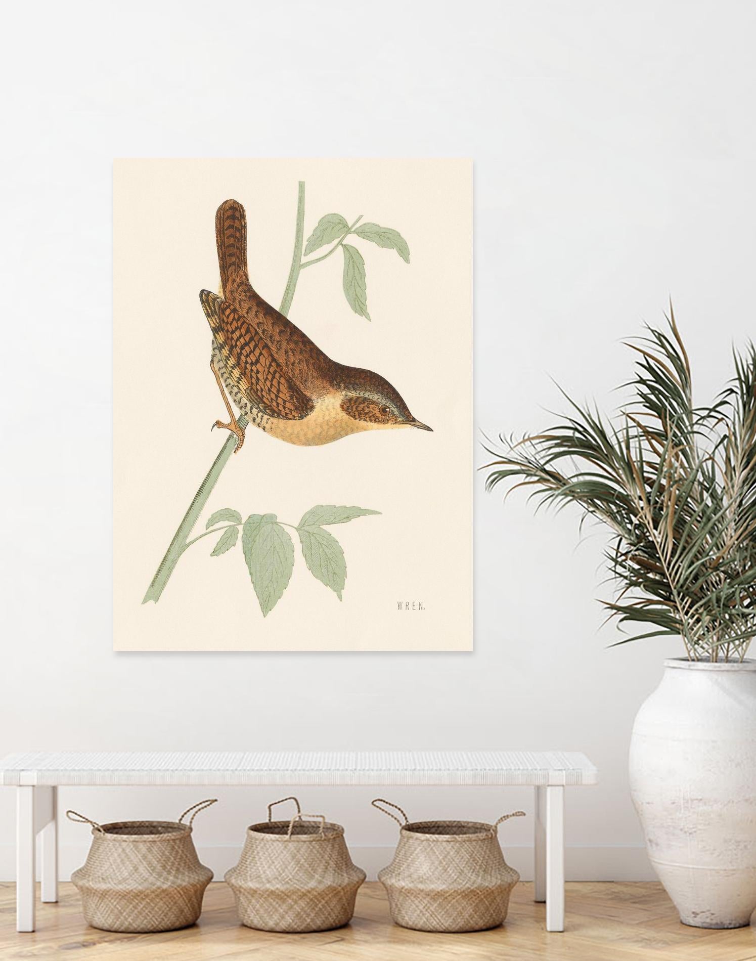 Engraved Birds I by Wild Apple Portfolio on GIANT ART - animals animal