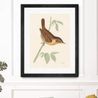 Engraved Birds I by Wild Apple Portfolio on GIANT ART - animals animal