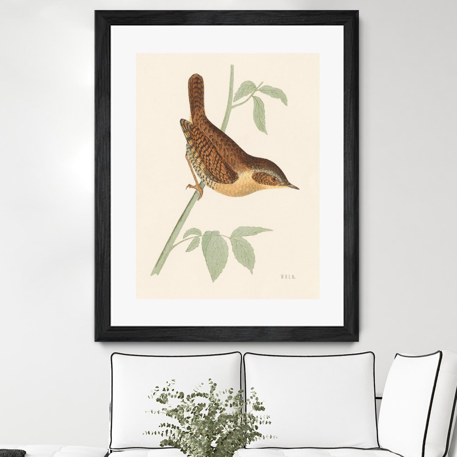 Engraved Birds I by Wild Apple Portfolio on GIANT ART - animals animal