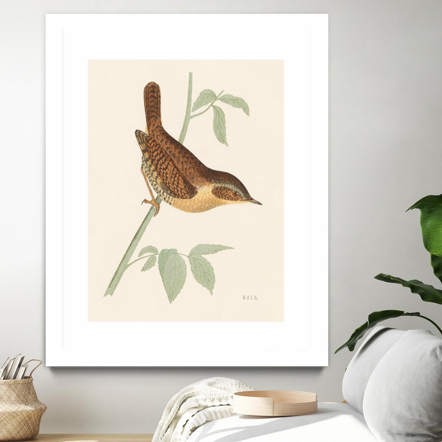 Engraved Birds I by Wild Apple Portfolio on GIANT ART - animals animal
