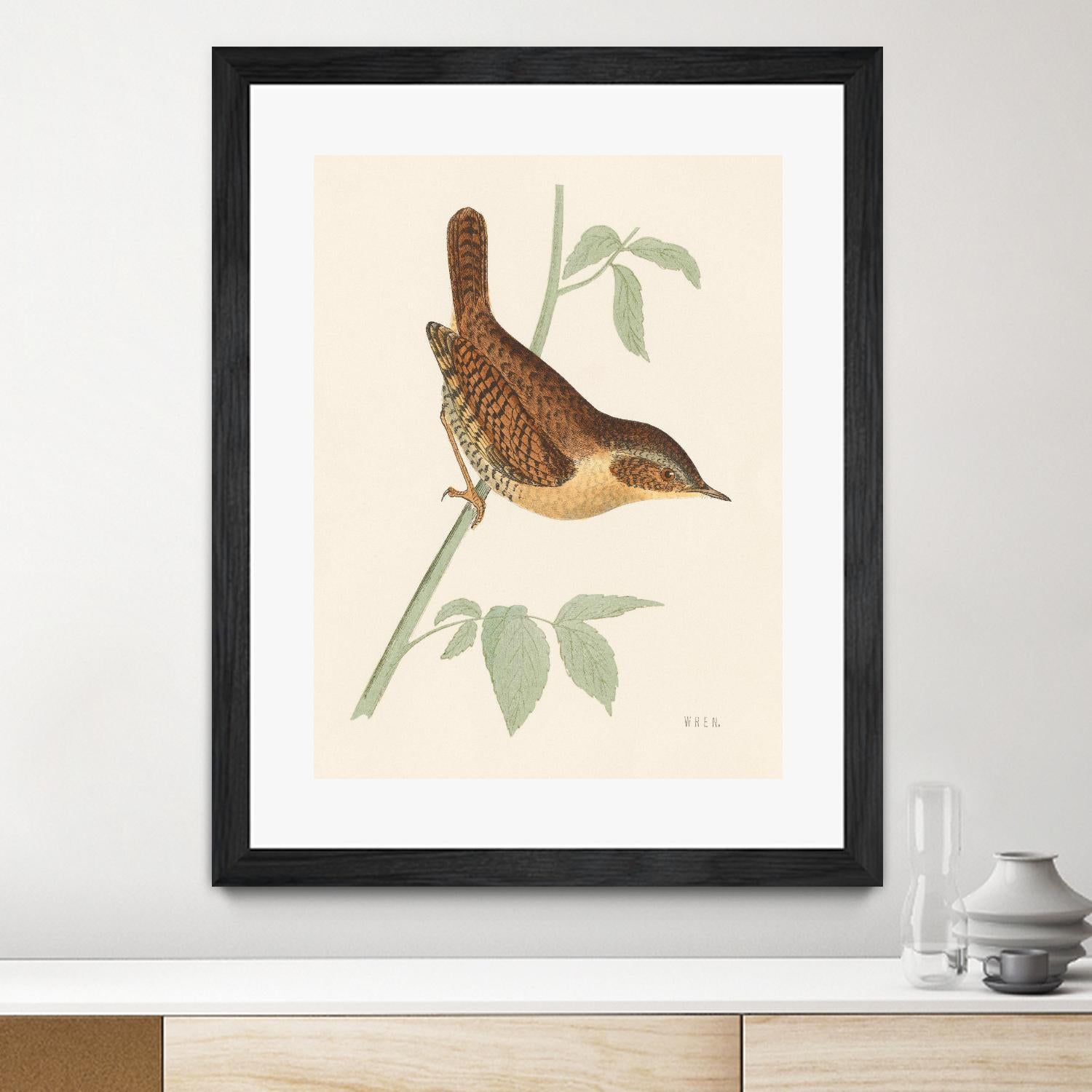 Engraved Birds I by Wild Apple Portfolio on GIANT ART - animals animal
