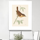 Engraved Birds I by Wild Apple Portfolio on GIANT ART - animals animal