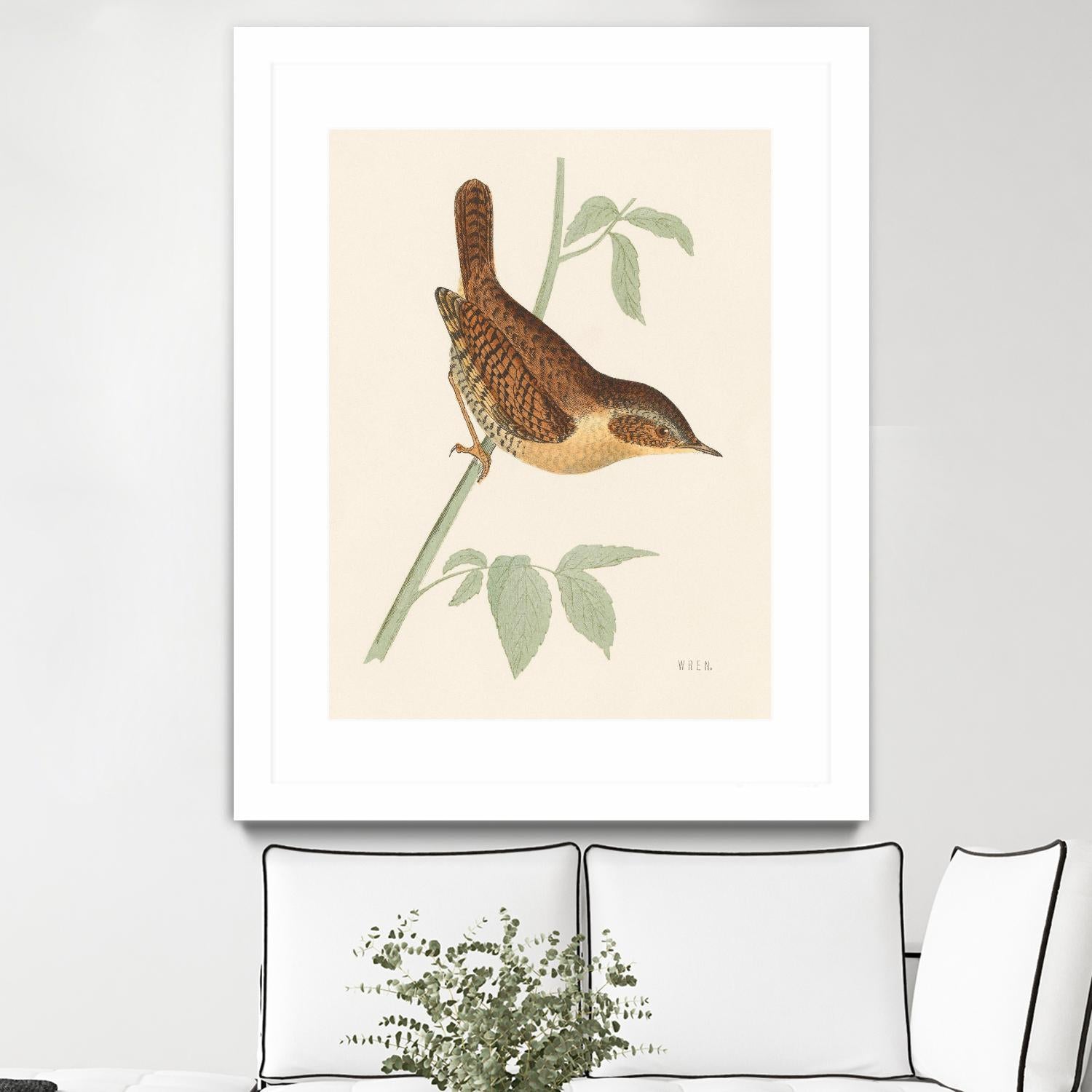 Engraved Birds I by Wild Apple Portfolio on GIANT ART - animals animal