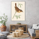 Engraved Birds I by Wild Apple Portfolio on GIANT ART - animals animal