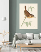 Engraved Birds I by Wild Apple Portfolio on GIANT ART - animals animal
