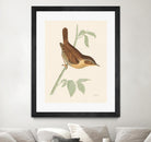 Engraved Birds I by Wild Apple Portfolio on GIANT ART - animals animal