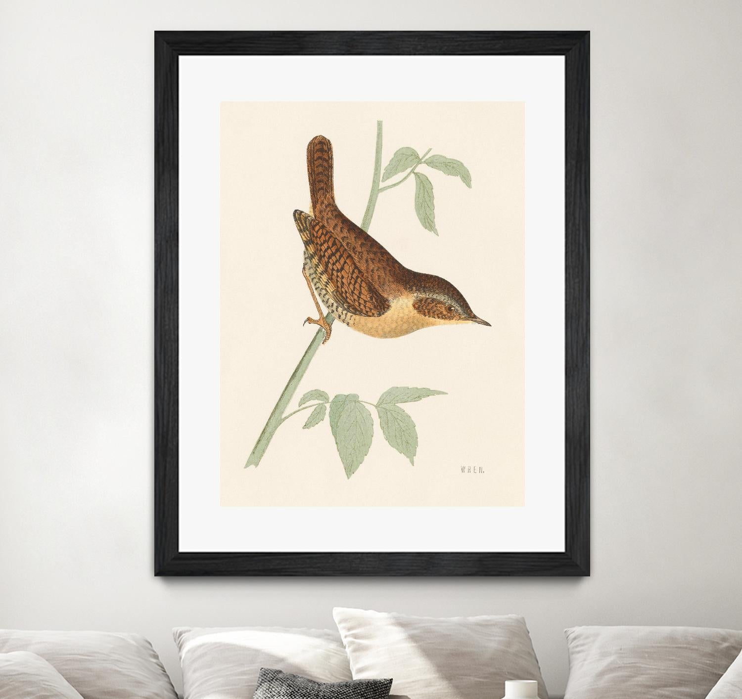 Engraved Birds I by Wild Apple Portfolio on GIANT ART - animals animal