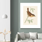 Engraved Birds I by Wild Apple Portfolio on GIANT ART - animals animal