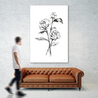 Line Ranunculus I by Chris Paschke on GIANT ART - florals black