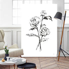Line Ranunculus I by Chris Paschke on GIANT ART - florals black