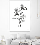 Line Ranunculus I by Chris Paschke on GIANT ART - florals black