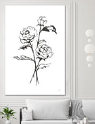 Line Ranunculus I by Chris Paschke on GIANT ART - florals black