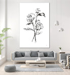 Line Ranunculus I by Chris Paschke on GIANT ART - florals black