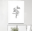 Line Ranunculus I by Chris Paschke on GIANT ART - florals black