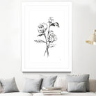 Line Ranunculus I by Chris Paschke on GIANT ART - florals black