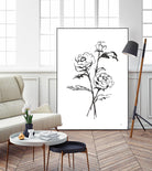 Line Ranunculus I by Chris Paschke on GIANT ART - florals black