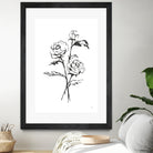 Line Ranunculus I by Chris Paschke on GIANT ART - florals black