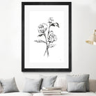 Line Ranunculus I by Chris Paschke on GIANT ART - florals black