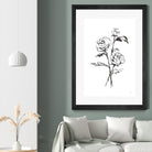 Line Ranunculus I by Chris Paschke on GIANT ART - florals black