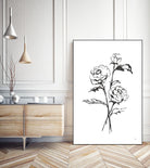 Line Ranunculus I by Chris Paschke on GIANT ART - florals black