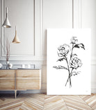Line Ranunculus I by Chris Paschke on GIANT ART - florals black