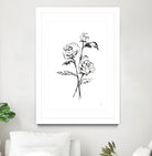 Line Ranunculus I by Chris Paschke on GIANT ART - florals black