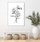 Line Ranunculus I by Chris Paschke on GIANT ART - florals black