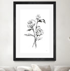 Line Ranunculus I by Chris Paschke on GIANT ART - florals black
