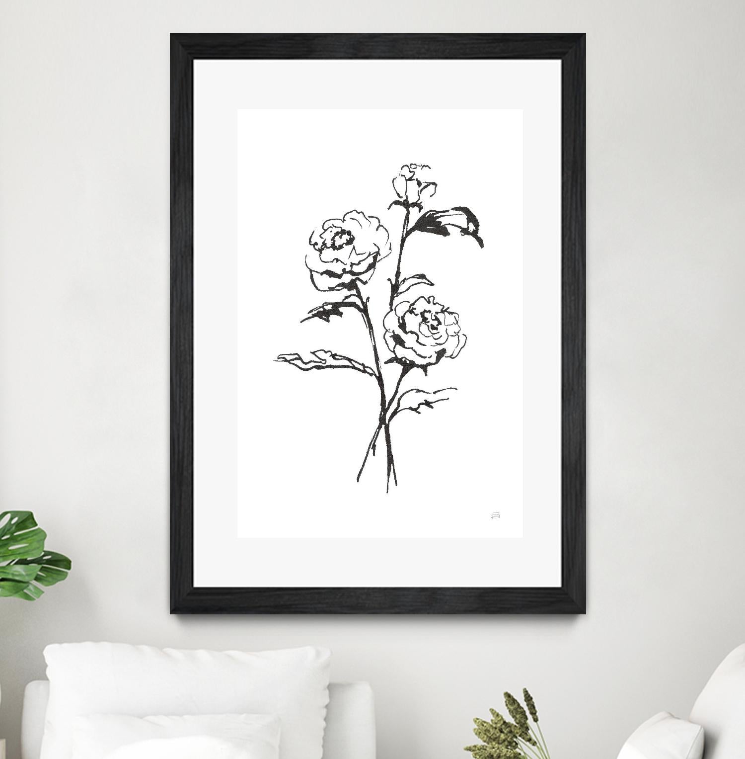 Line Ranunculus I by Chris Paschke on GIANT ART - florals black