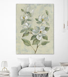 Sage Magnolia by Silvia Vassileva on GIANT ART - florals florals