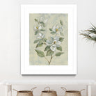 Sage Magnolia by Silvia Vassileva on GIANT ART - florals florals