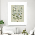 Sage Magnolia by Silvia Vassileva on GIANT ART - florals florals