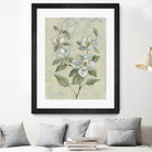 Sage Magnolia by Silvia Vassileva on GIANT ART - florals florals