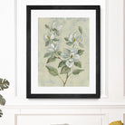 Sage Magnolia by Silvia Vassileva on GIANT ART - florals florals