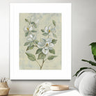 Sage Magnolia by Silvia Vassileva on GIANT ART - florals florals