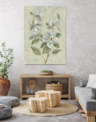 Sage Magnolia by Silvia Vassileva on GIANT ART - florals florals