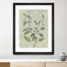 Sage Magnolia by Silvia Vassileva on GIANT ART - florals florals