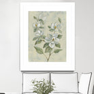 Sage Magnolia by Silvia Vassileva on GIANT ART - florals florals