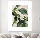 Tropical Study II by Julia Purinton on GIANT ART - beige tropical tropical leaf study