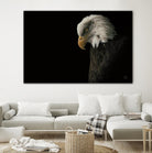 Eagle Bow by Nathan Larson on GIANT ART - animals american eagle