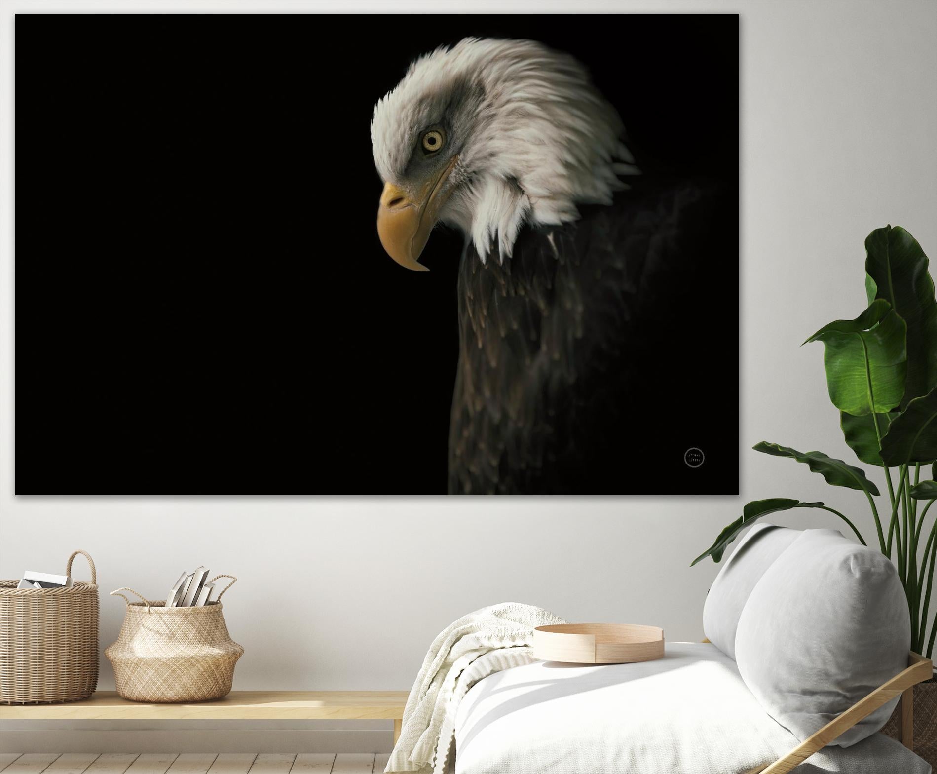 Eagle Bow by Nathan Larson on GIANT ART - animals american eagle