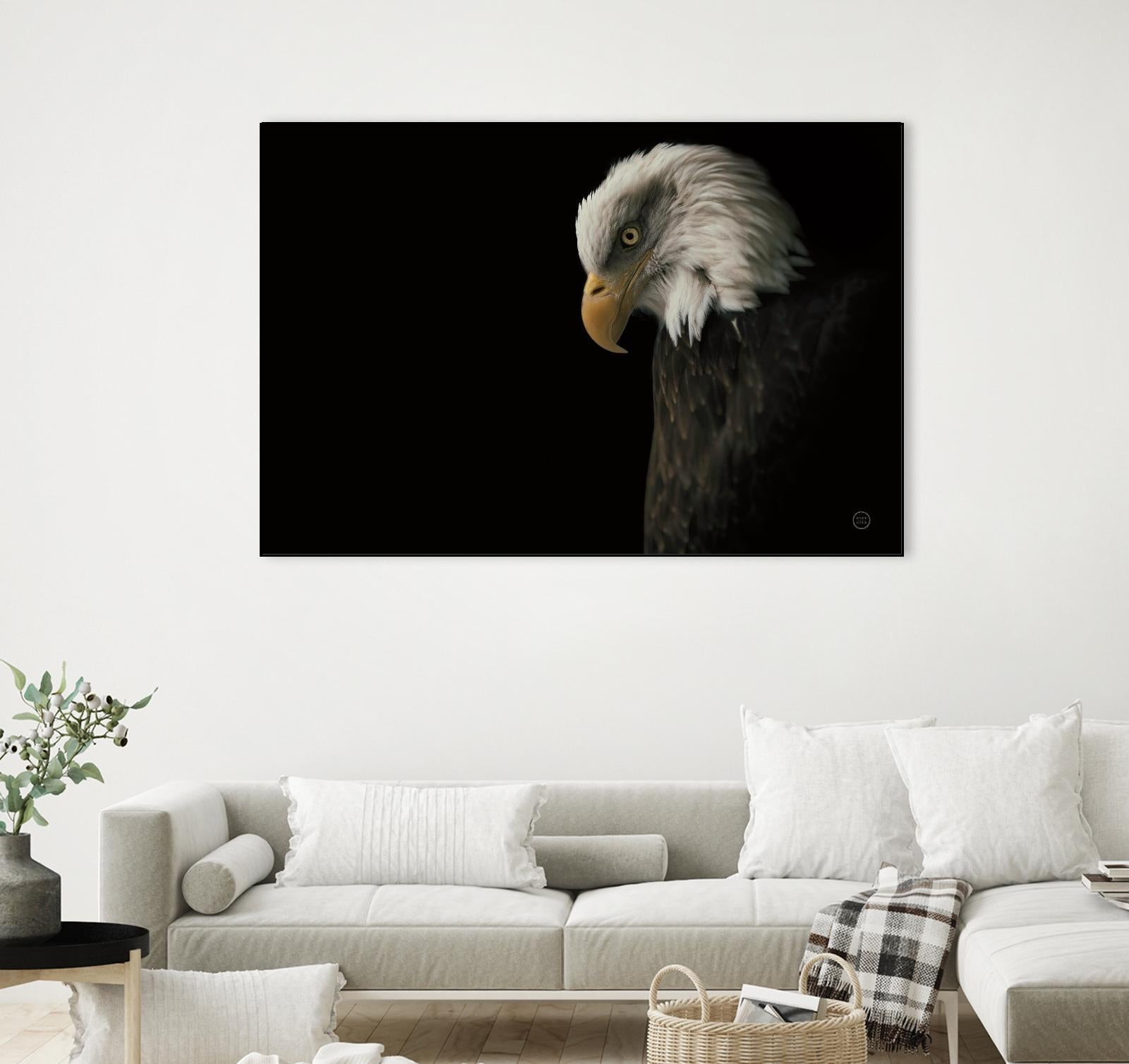 Eagle Bow by Nathan Larson on GIANT ART - animals american eagle