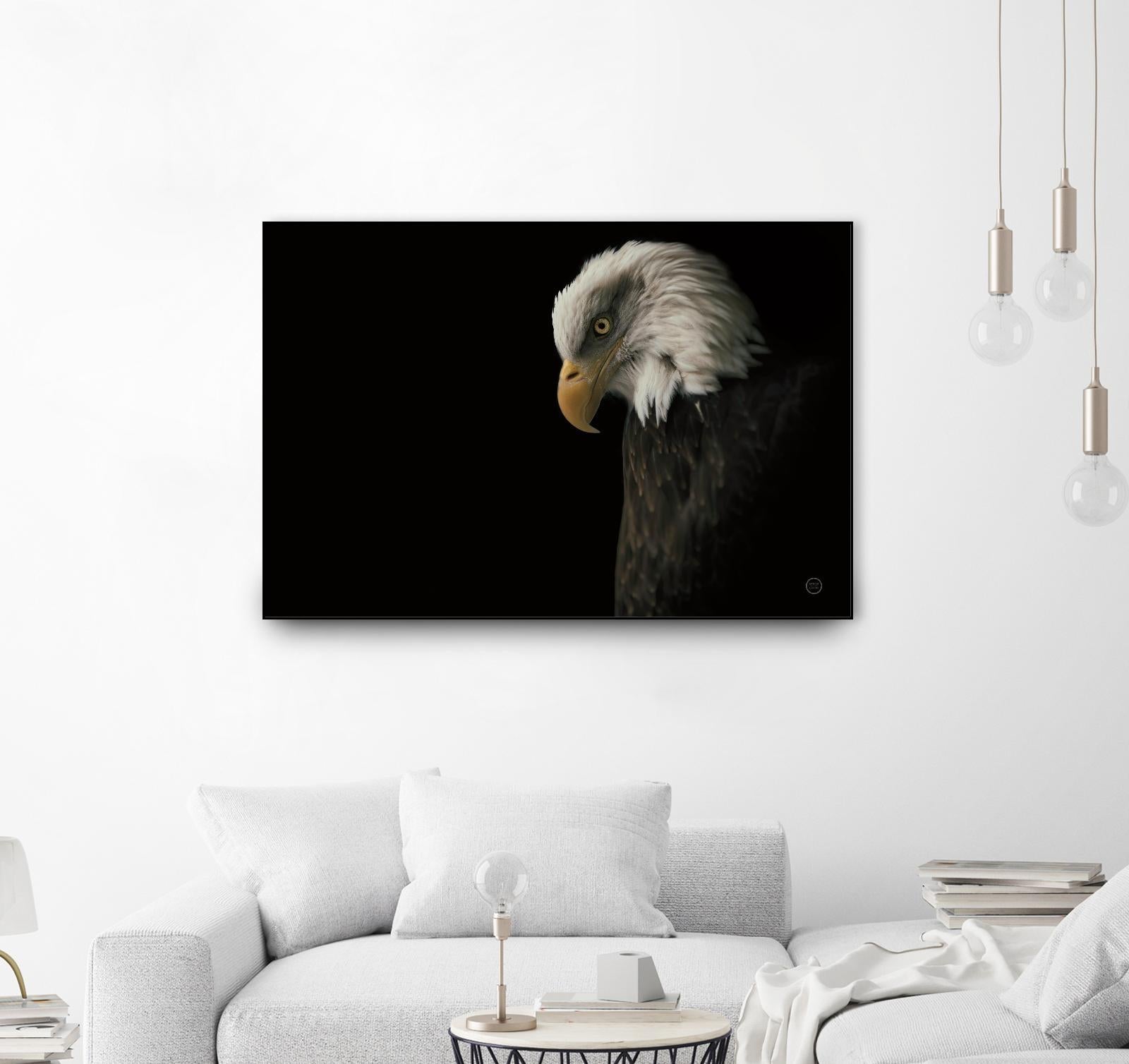 Eagle Bow by Nathan Larson on GIANT ART - animals american eagle